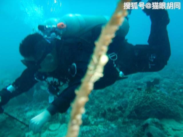 迪马：狼堡冬窗不想放走拉克鲁瓦，米兰希望单纯租借德米拉尔